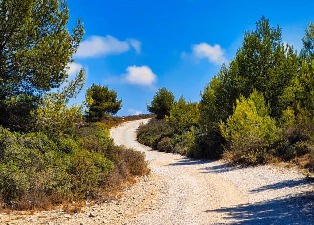 Das Paradies hat seinen Preis 3