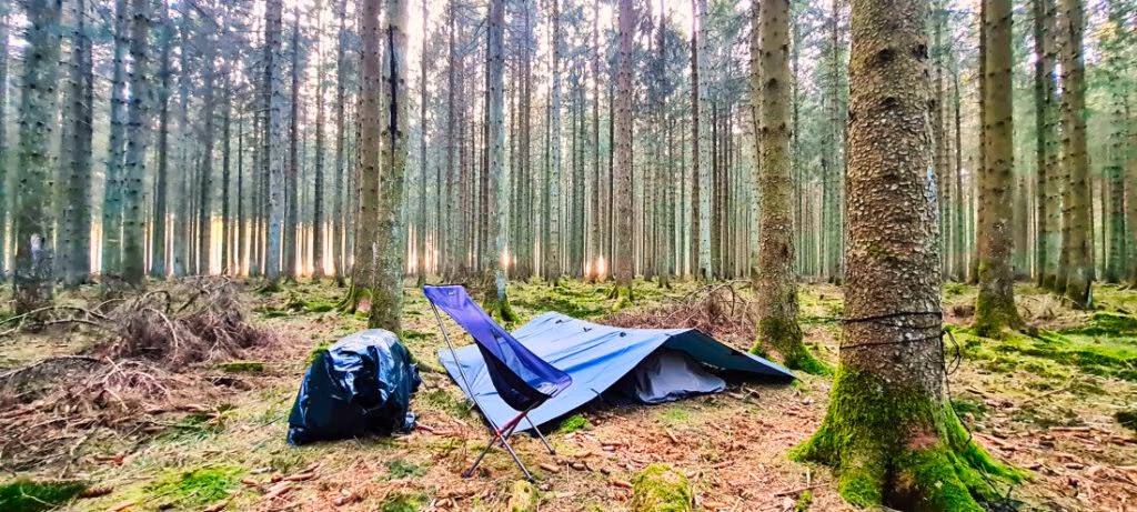 Tarp und Stuhl in einem Nadelwald