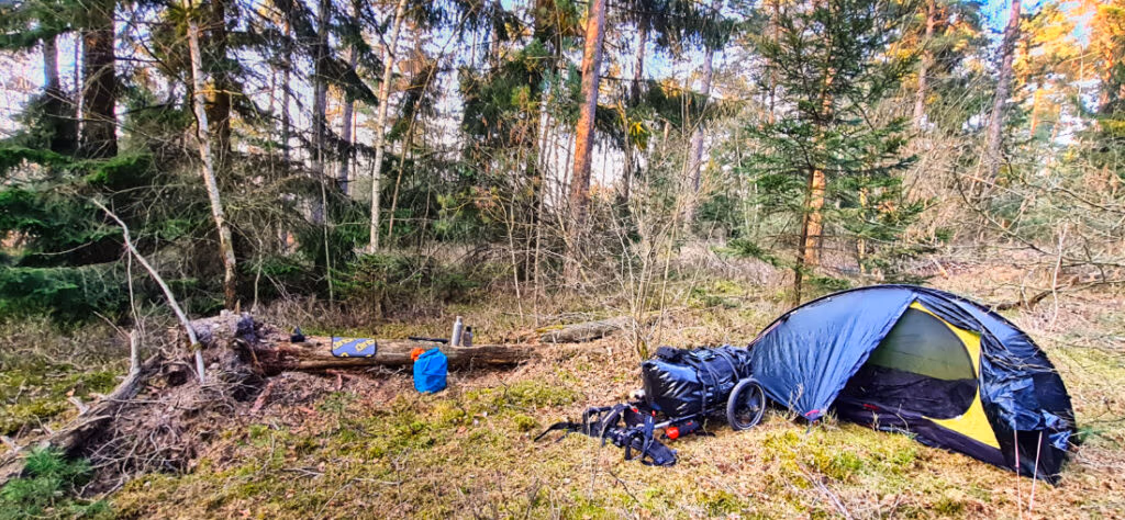 Mein zweites erstes Mal 1