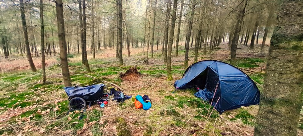 Raus aus dem Wald 1